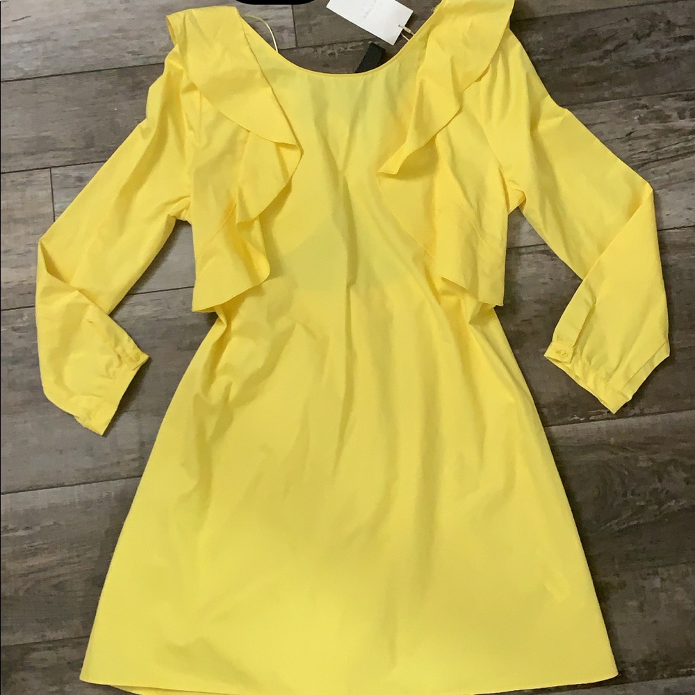 Zara dress